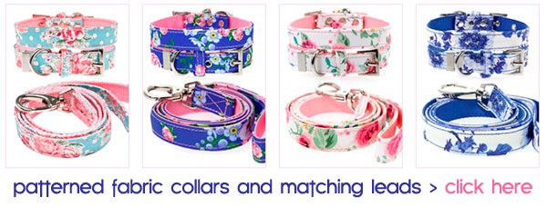 dog collars and matching leads