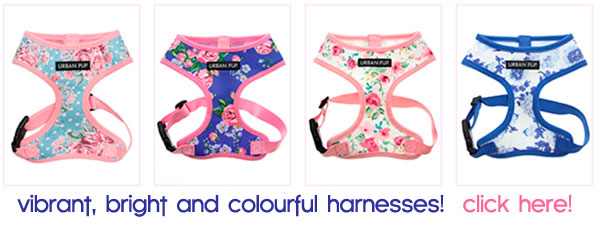 colorful patterned dog harnesses