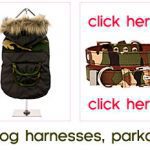 camouflage dog clothes