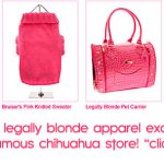 legally blonde aparrel