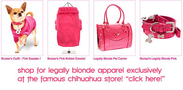 legally blonde dog clothes aparrel