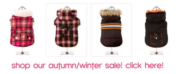 sale dog coats 