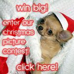 xmas widget contest