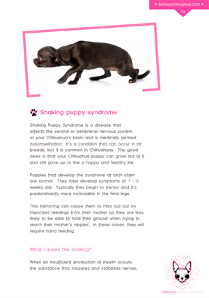 shaking puppy syndrome book