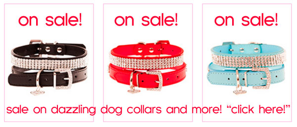 sale on dog collars!