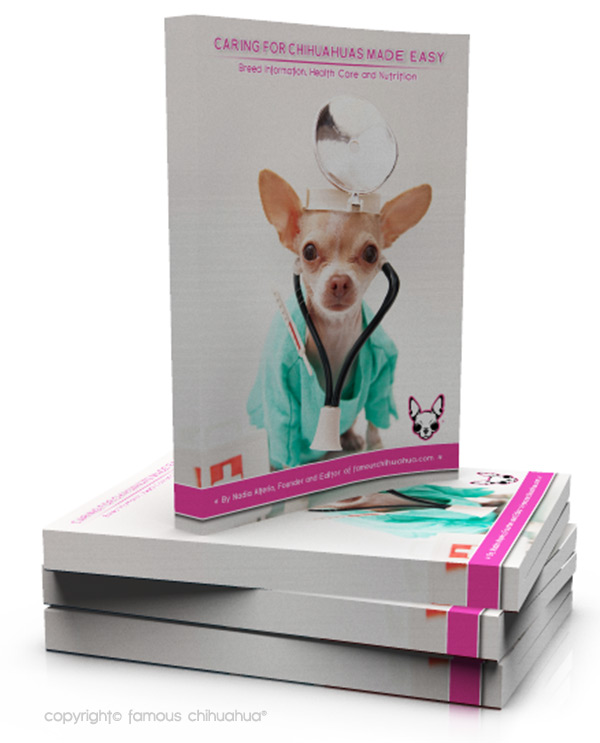 book how to care for your chihuahua