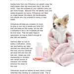 chihuahua bath book