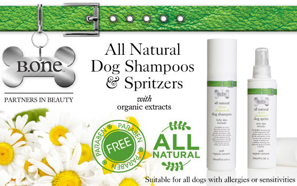 all natural dog shampoos and spritzers