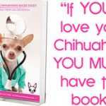 famouschi ebook smallgraphic