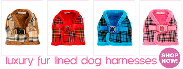fur lined dog harnesses