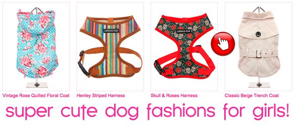 girl dog clothes fashions