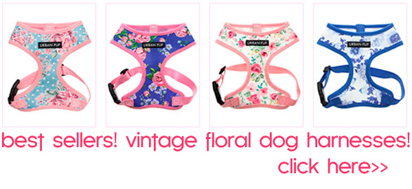 best sellers! vintage floral dog harnesses!