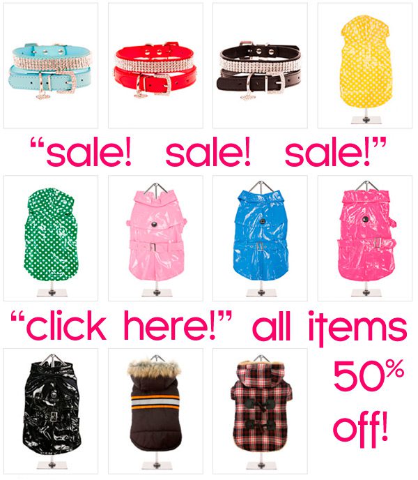 sale on chihuahua clothes