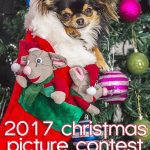 2017 christmas contest pic