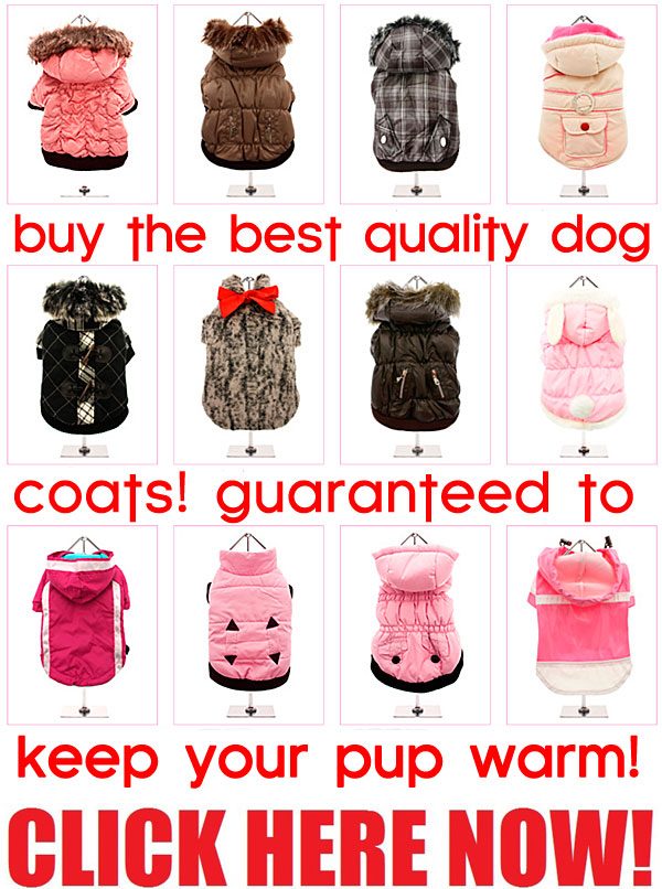 best quality dog coats