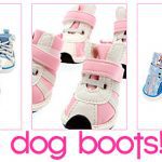 cute dog boots