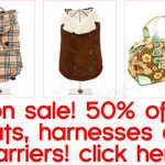 sale chihuahua clothing