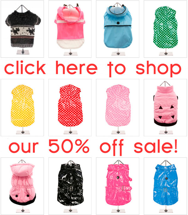 50% off sale on chihuahua clothes