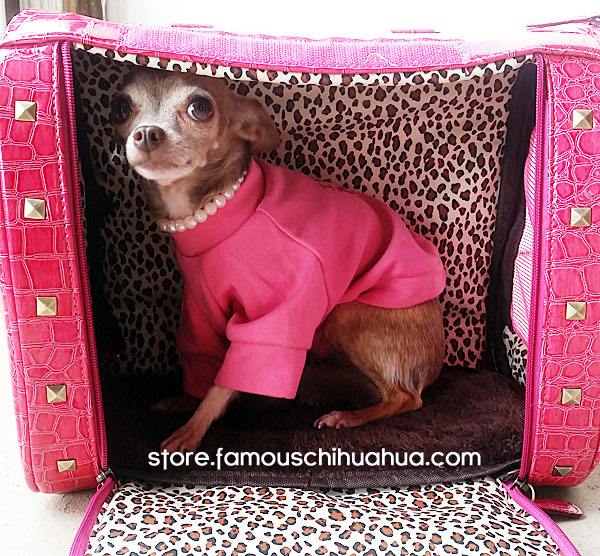 legally blonde pet carrier