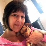 karma julie chihuahua selfie