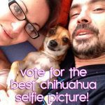 vote chihuahua selfie contest widget