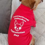 chihauhuaday dogshirt