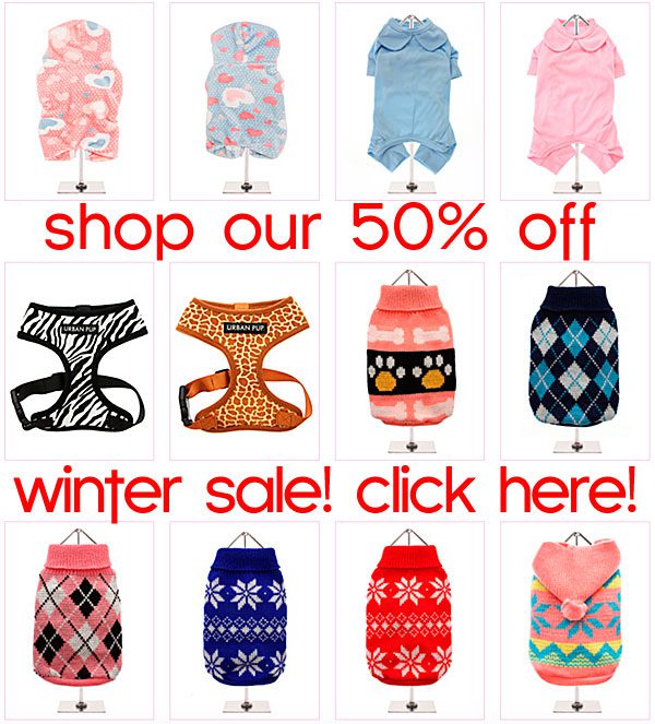 sale chihuahua clothes