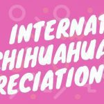 HAPPY CHIHUAH INTERNATIONAL CHIHUAHUA APPRECIATION DAY 1