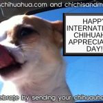 HAPPY INTERNATIONAL CHIHUAHUA APPRECIATION DAY Sign up page