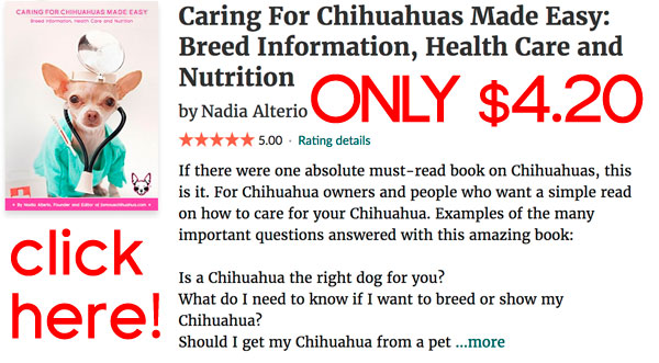 chihuahua book on sale