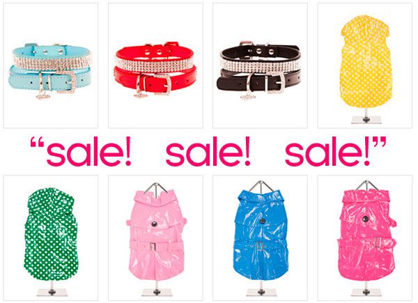 spring sale chihuahua clothes