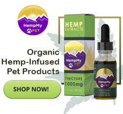 shop for cbd oil chihuahua dogs
