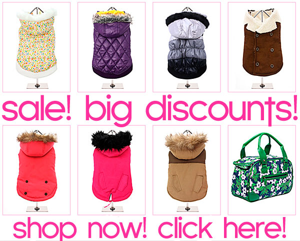 Sale discounts on Chihuahua clothes SHOP chihuahua clothing
