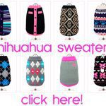 chihuahua sweaters