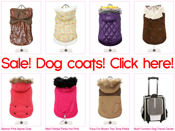 Sale On Chihuahua Dog Coats