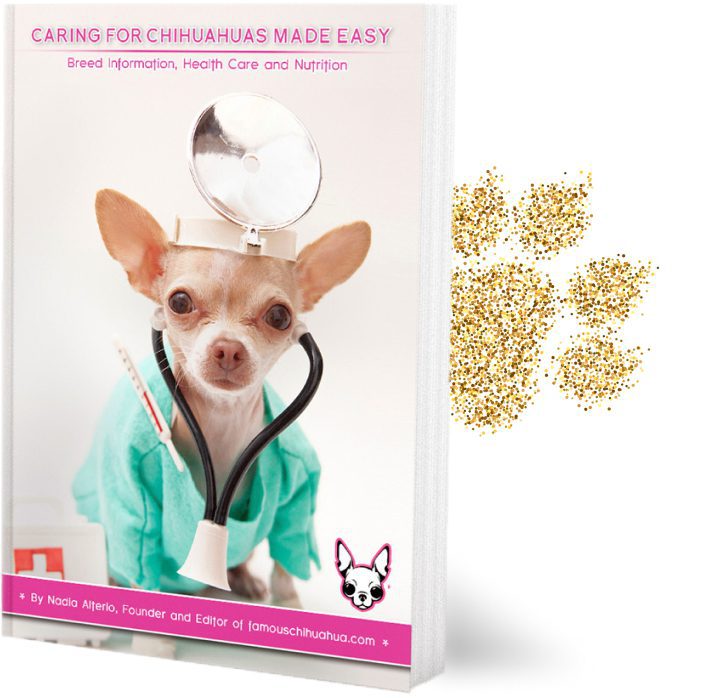 Famous Chihuahua Caring for Chihuahuas Made Easy ebook