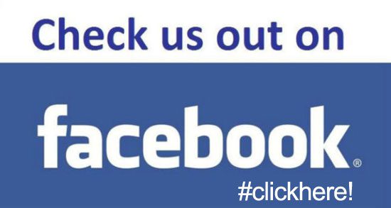 Famous Chihuahua on Facebook!
