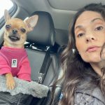 famous chihuahua lupini and nadia alterio