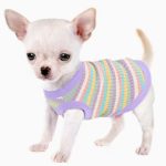 Cute Chihuahua Clothes Sizes XXS, XS, S
