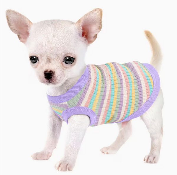 Cute Chihuahua Clothes Sizes XXS, XS, S